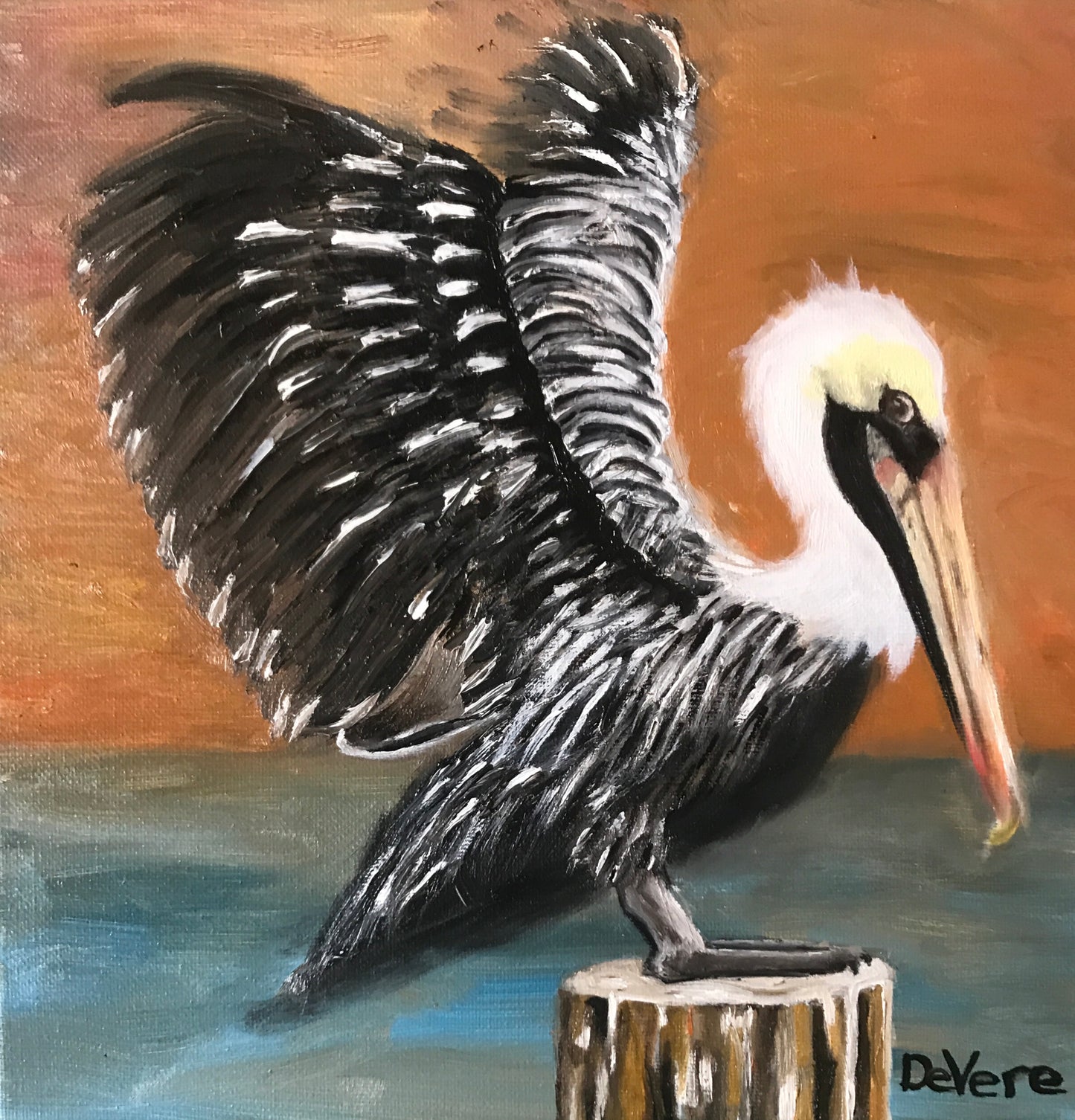 Pelicans