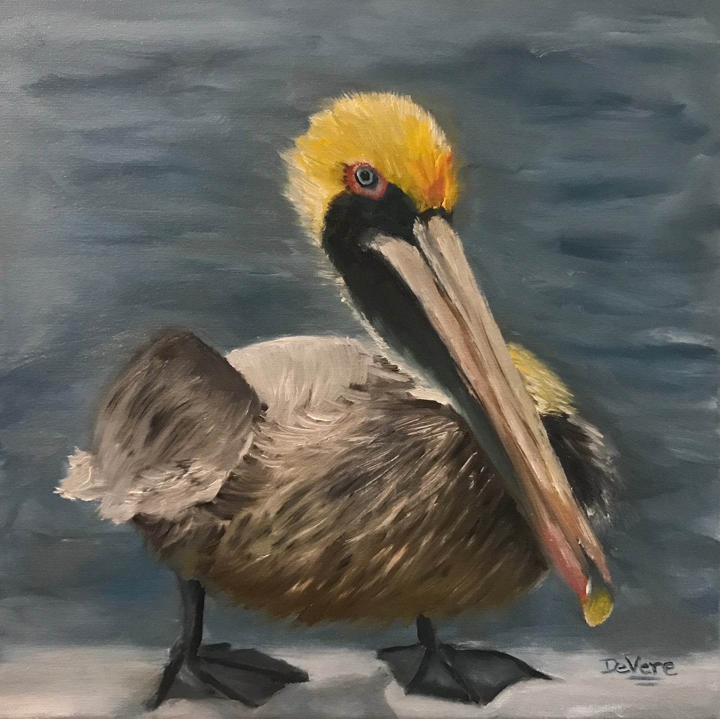 Pelicans