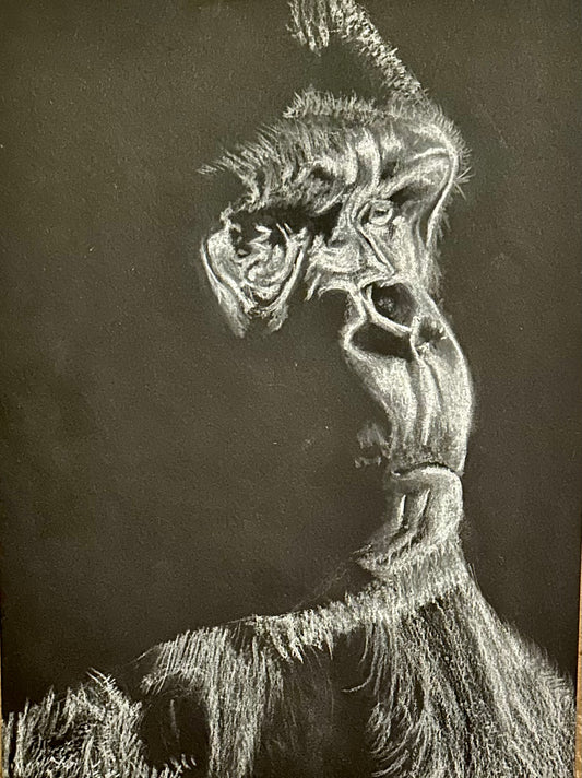 Ape - White on Black