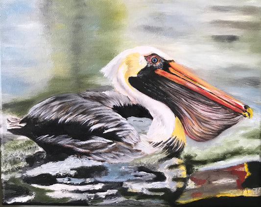 Pelicans